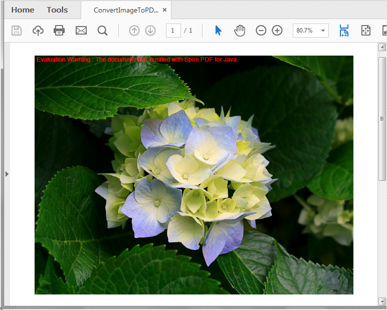 如何用Java語言將圖像轉換為PDF？Spire.PDF for Java輕松搞定！