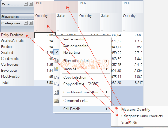 RadarCube ASP.NET OLAP計算方法詳解-BI項目開發